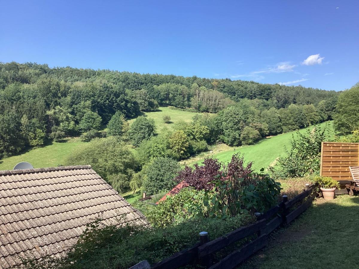 Chalet Spessart Dammbach Екстер'єр фото